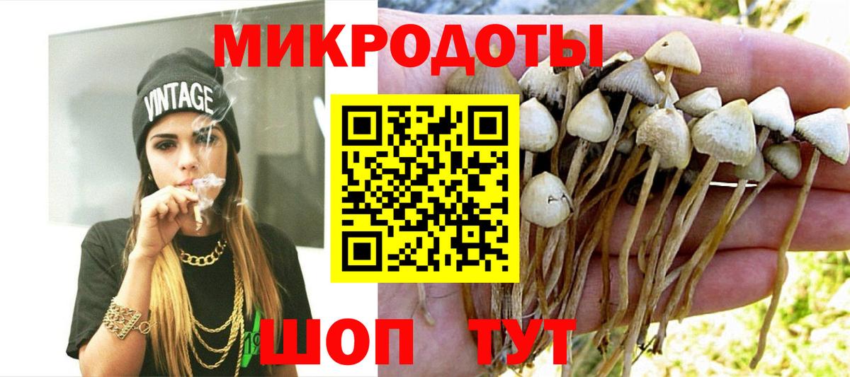 Псилоцибиновые грибы Cubensis Бузулук